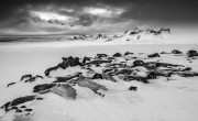 keith-truman_glacial-wilderness