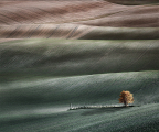 Peter North_Undulating Fields. Commended, Your View LPOTY 2022