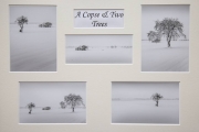 Roger Care_ A Copse & Two Trees