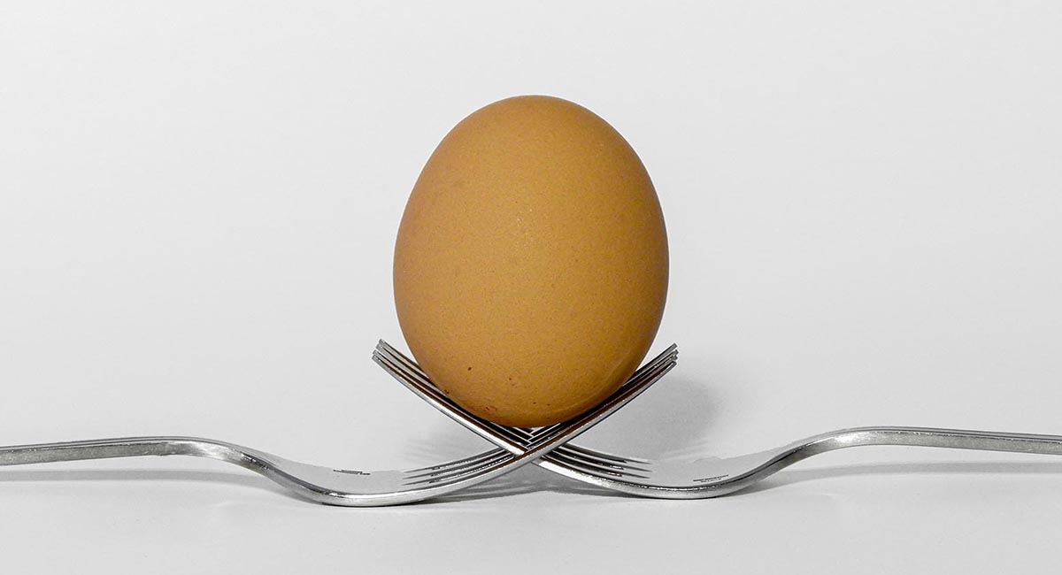 Keith Taylor_Forkin Egg