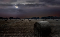 Peter North_Harvest Moon