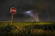 Linda-Marshall_Striking-Gold