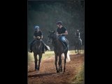 Gary Baker-Returning from the Gallops
