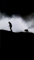 Ian Jeffries_One man and his dog