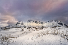 Linda-Marshall_Morning-Light