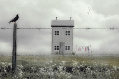 Nigel-Northwood_The-House-Behind-the-Wire