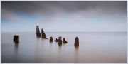 Roger Care_Shallow Tide Roger Care_Shallow Tide