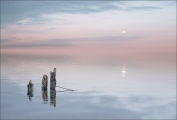 Peter North_Reflecting the Moon