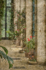 Theresa Penfound:The Orangery - 19