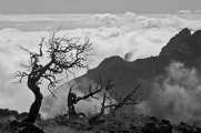 Nick Holway_From the Top of Maderia_Score: 19/20
