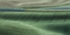 Peter North_Shades of Green