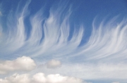Ken Crane_Mares Tails