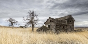 Keith Truman_Forgotten