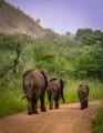 Helen-Unwin_Taking-a-stroll