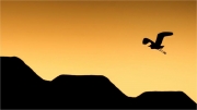 Andre Neves_Grey Heron Over Huts