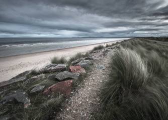 Roger Care: Cold Day on the Beach - 20