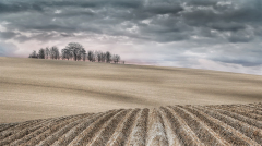 20 Peter-North_Freshly-Ploughed