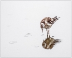 Jenny Collier_Fishing in the Rain Jenny Collier_Fishing in the Rain