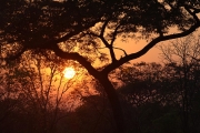 Eve Maythorne_Sunrise in Kafue_Score: 19/20