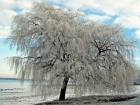Eve Maythorne_A cold day at Graffham Water