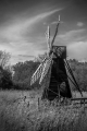 Pam Aynsley _Wicken Fen Pam Aynsley _Wicken Fen