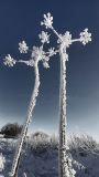 Paul Ravenscroft, Hoarfrost -19