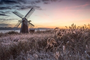Keith Truman_Dawn Frost