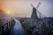 Misty-Morning-at-Wicken-Fen_Nigel-Northwood