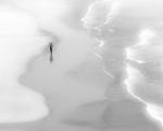 Shoreline-Stroll_Peter-North