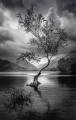 Waterlogged_Gary-Baker