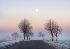 John-McDowall_Moonlight-and-Mist