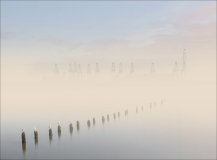 Peter-North_Cranes-and-Gulls