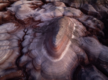 Roger-Care_Bentonite-Hills