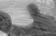 Peter North_Carwash Peter North_Carwash