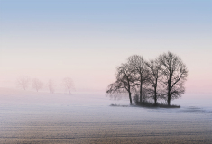 Peter-North_Frosty-Dawn: 19