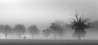 Peter North_Early Morming Ride_Score: 19/20
