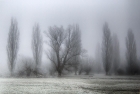 Jo Norcross_Grantchester Meadows