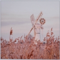 Jenny Collier_Windmill at Thurne