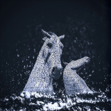 1st, Linda Marshall_Spirits of the Deep