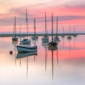 Pink-Dawn-Reflections
