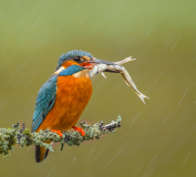 Fishing-in-the-rain
