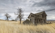 Forgotten