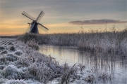 Frosty-Dawn