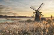 Herringfleet-Frost