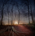Peter North_Dawn at Fox Covert, Your View LPOTY 2020