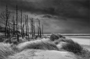 Keith Truman_Newborough-Storm. Commended, Black & White LPOTY 2020