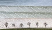 Peter North, Snowdust. Runner-Up, Your View LPOTY 2015