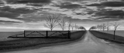 Pam Aynsley_Peter North_Avenue in Winter