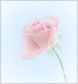 Pam Aynsley_Peter North_Faded Rose