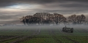 Pam Aynsley_Peter North_Midwinter